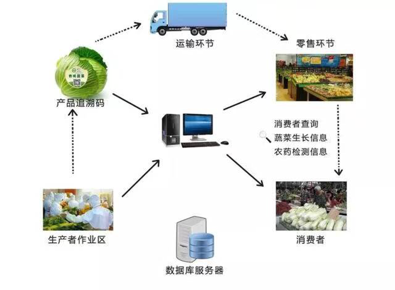 上海凌艺国际贸易有限公司:贸易之桥,连接全球